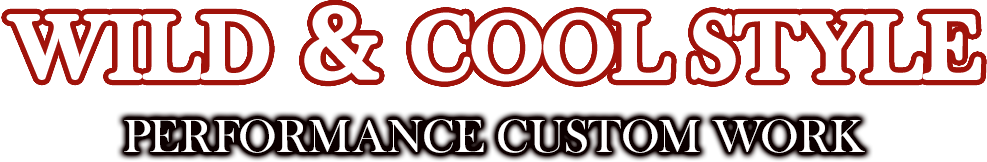 WILD ＆ COOL STYLE｜PERFORMANCE CUSTOM WORK